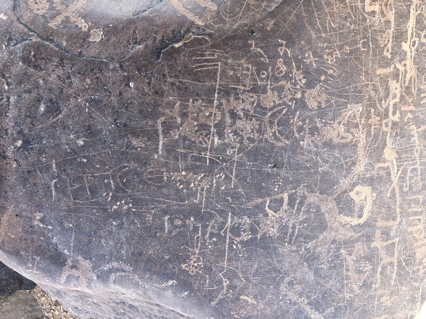 Image of BES19s 16
