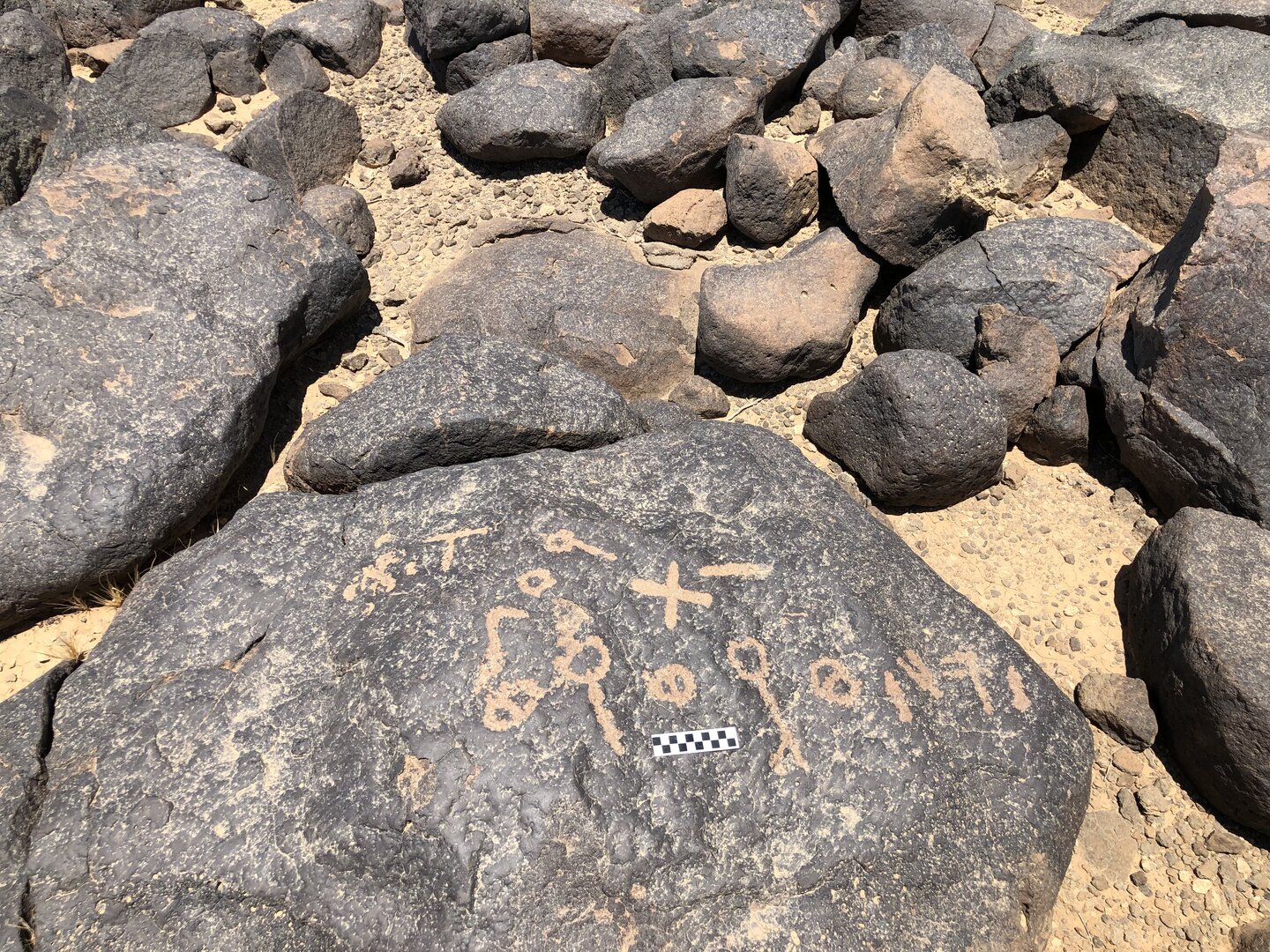 Image of BES19s 19