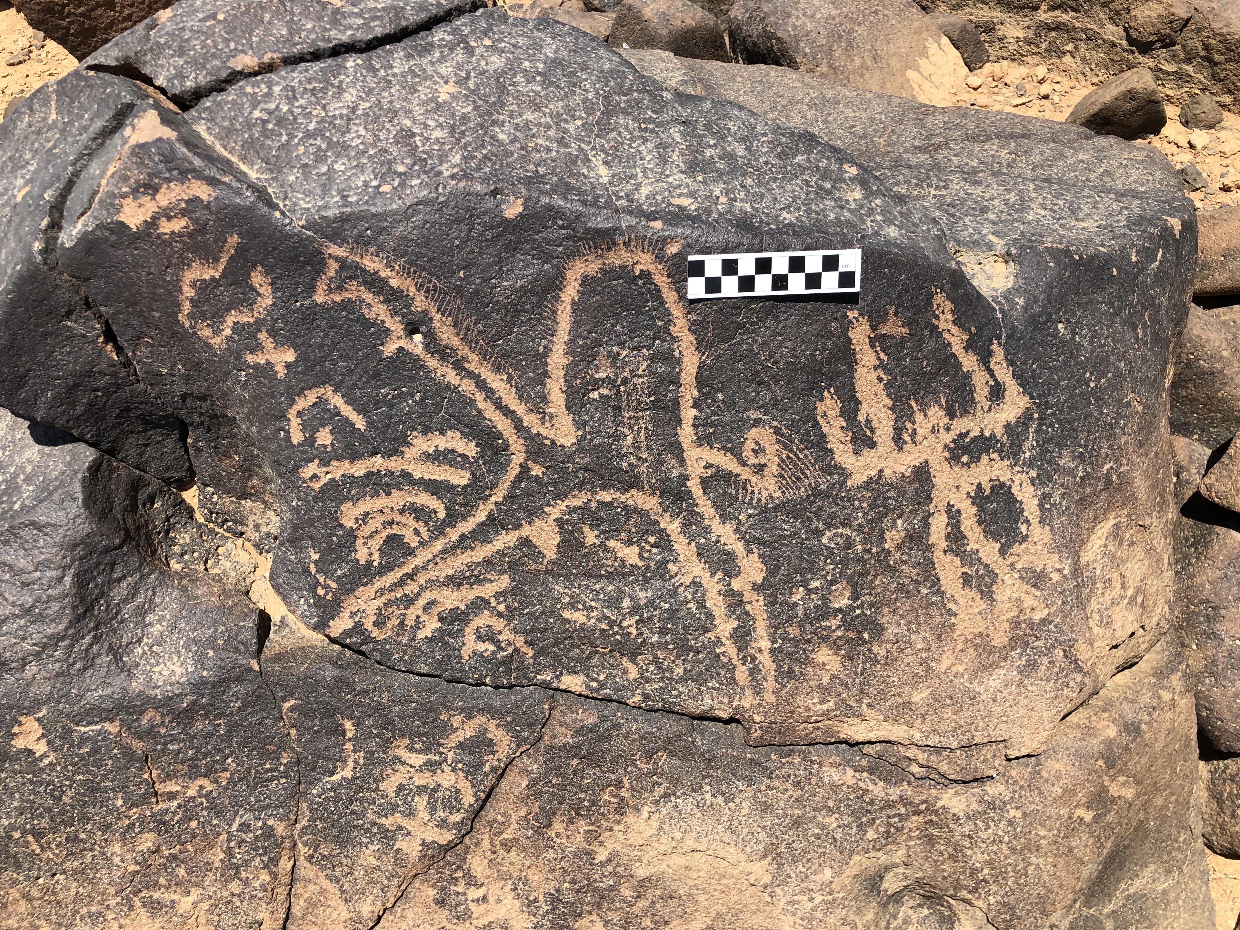 Image of inscription BES19s 20
