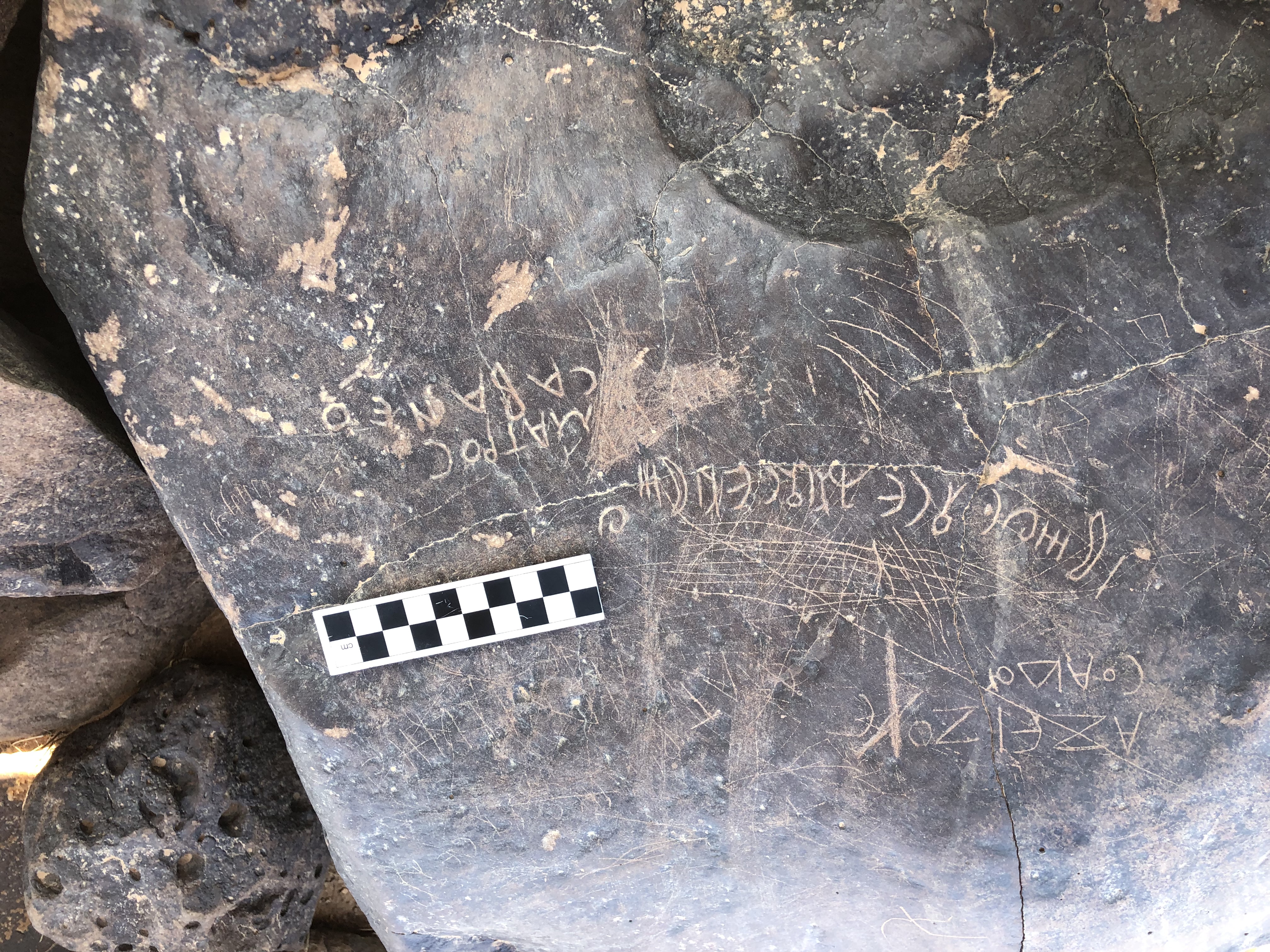 Image of BES19s 21