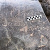 Image of BES19s 21