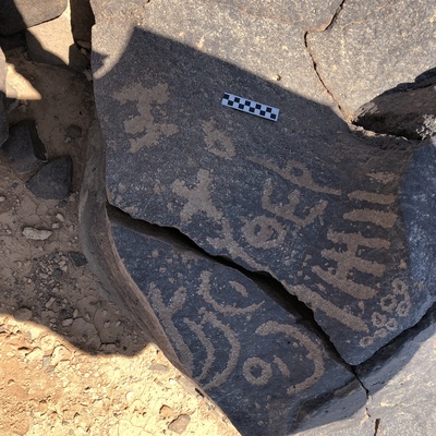Image of BES19s 22