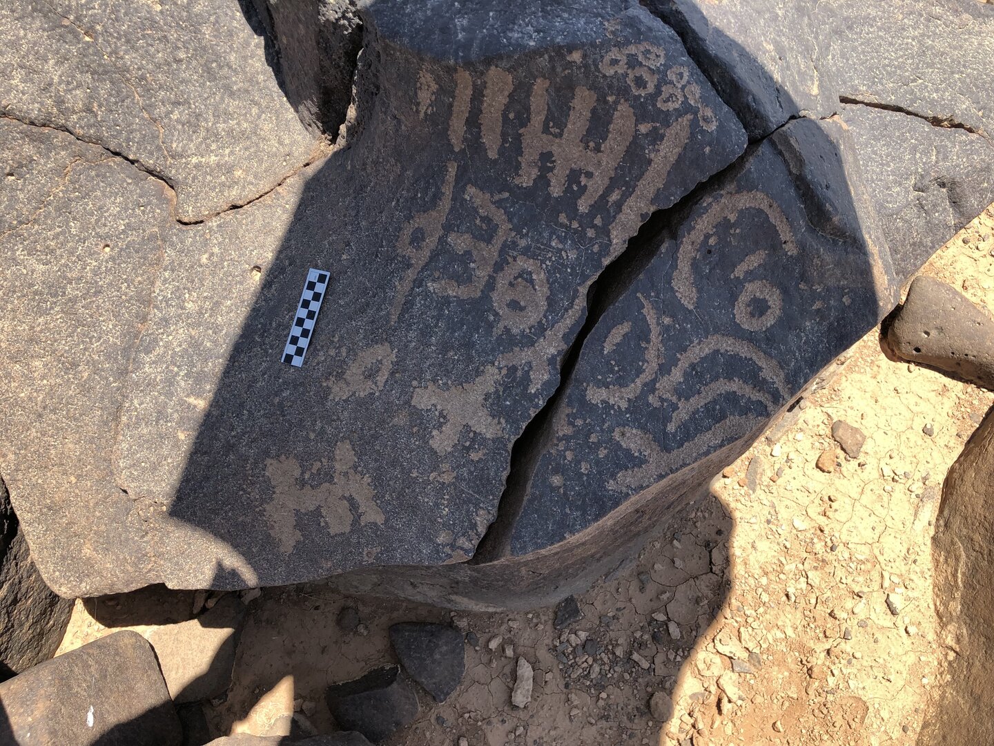 Image of BES19s 22