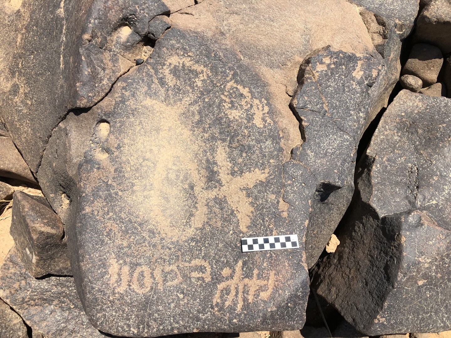 Image of BES19s 23