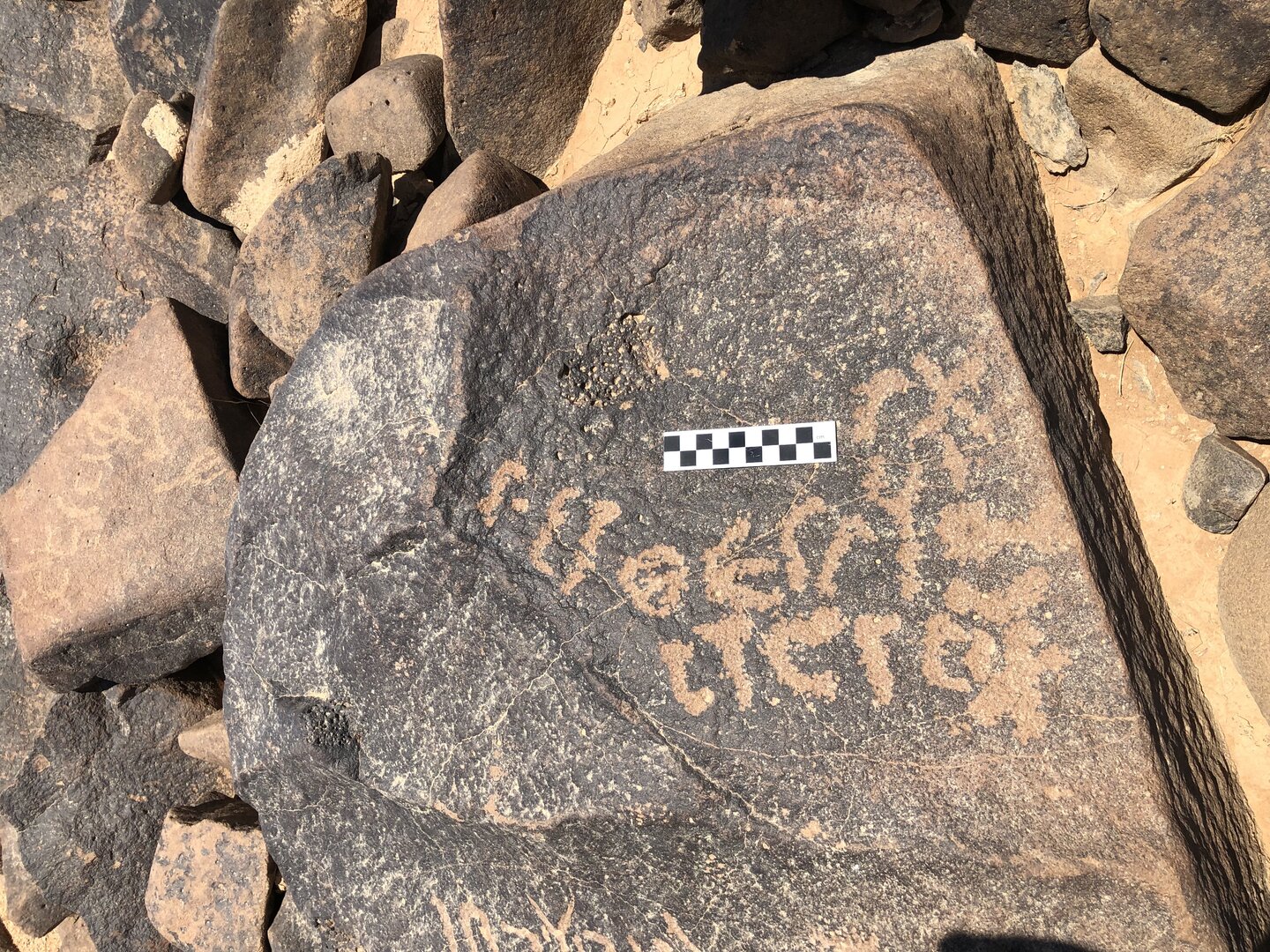 Image of BES19s 24
