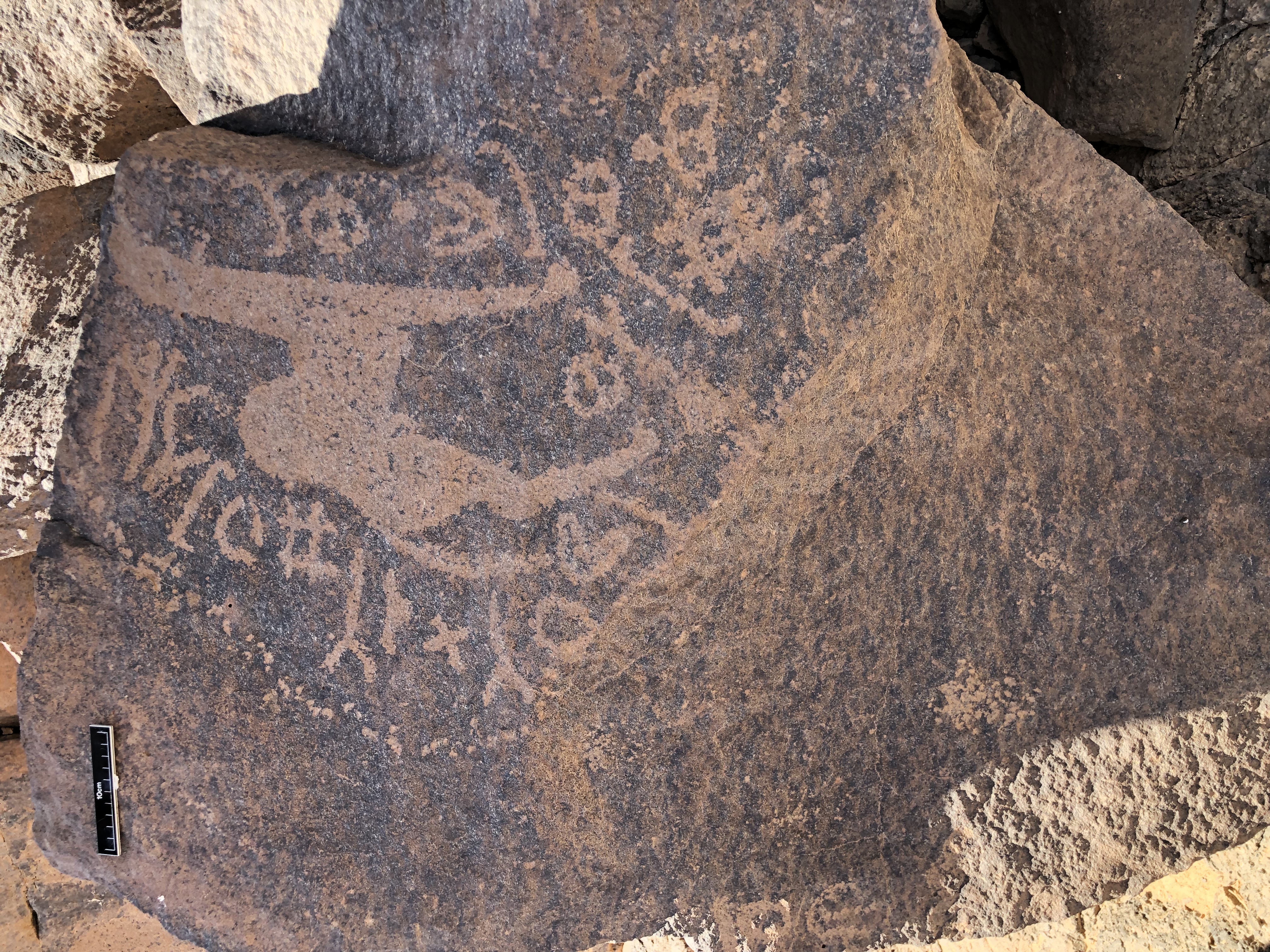 Image of BES19s 27