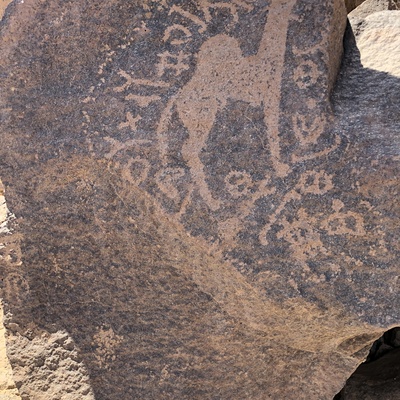 Image of BES19s 27