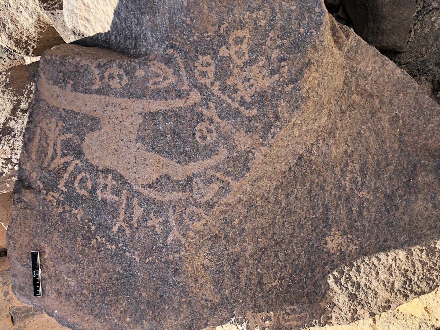 Image of BES19s 27