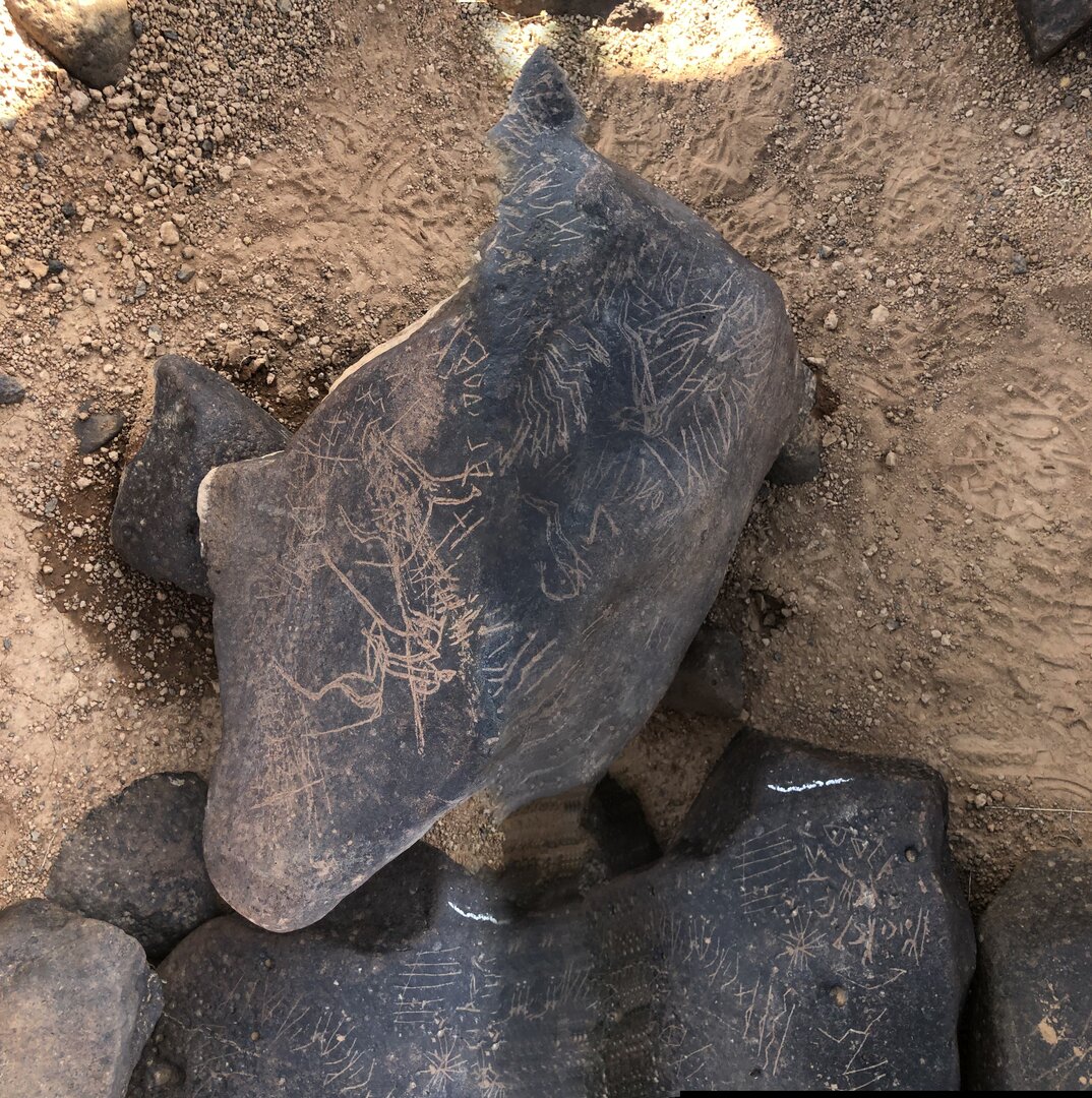 Image of BES19s 28