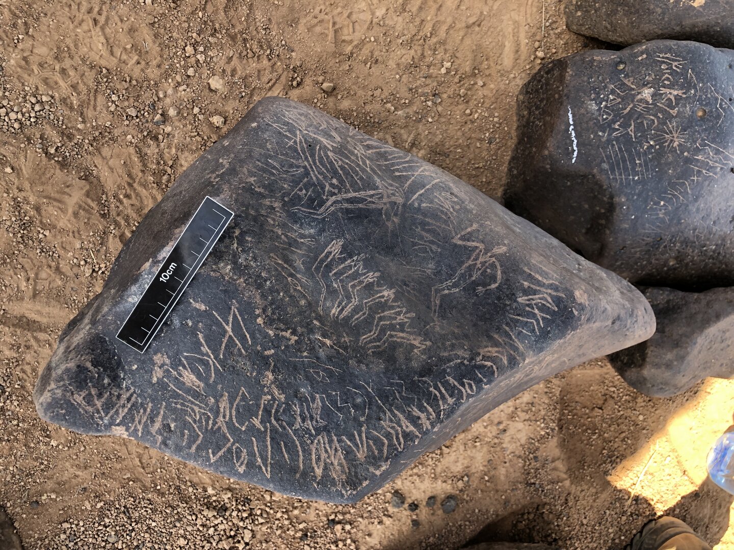Image of BES19s 29