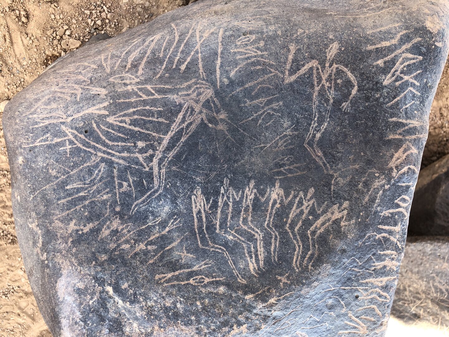 Image of BES19s 29