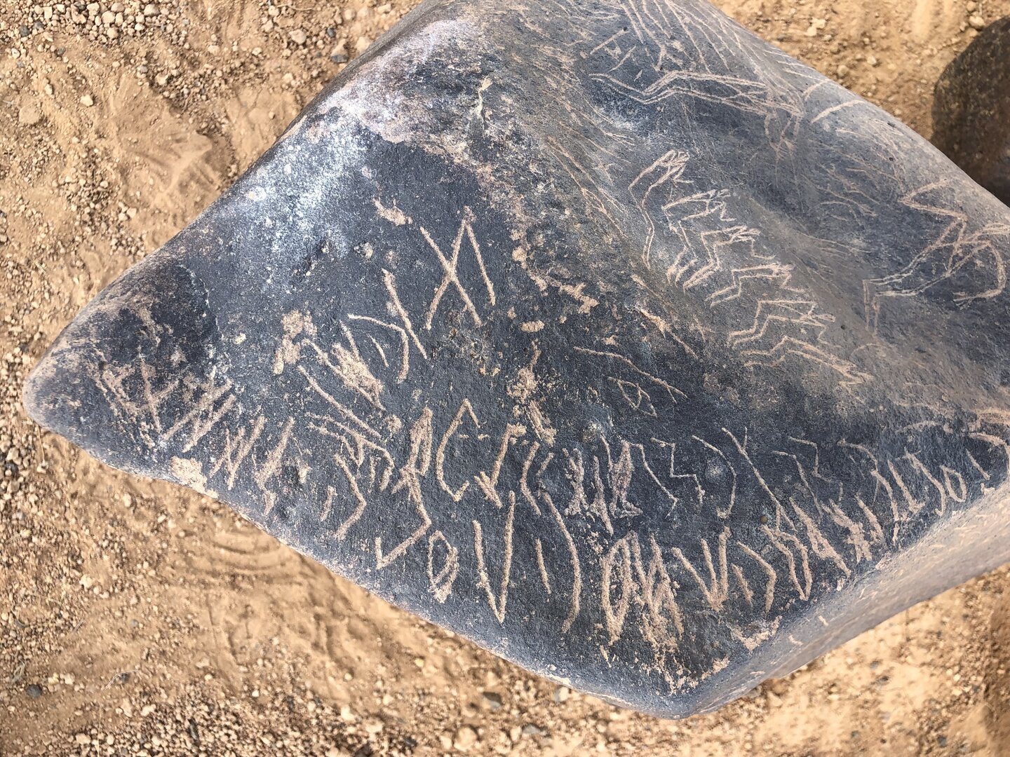 Image of BES19s 29