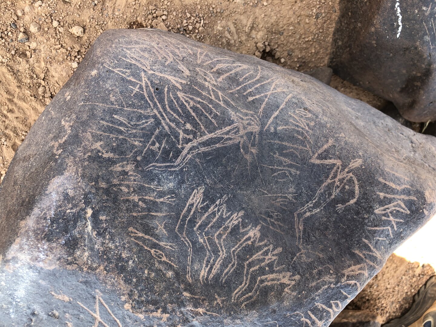Image of BES19s 30