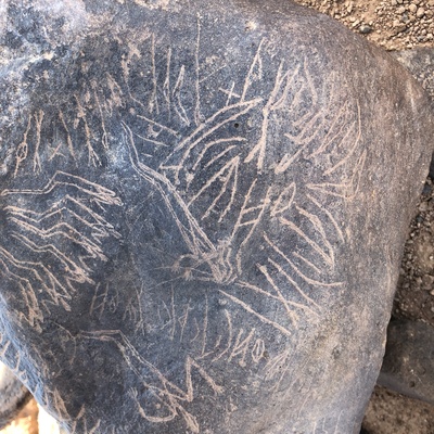 Image of BES19s 31