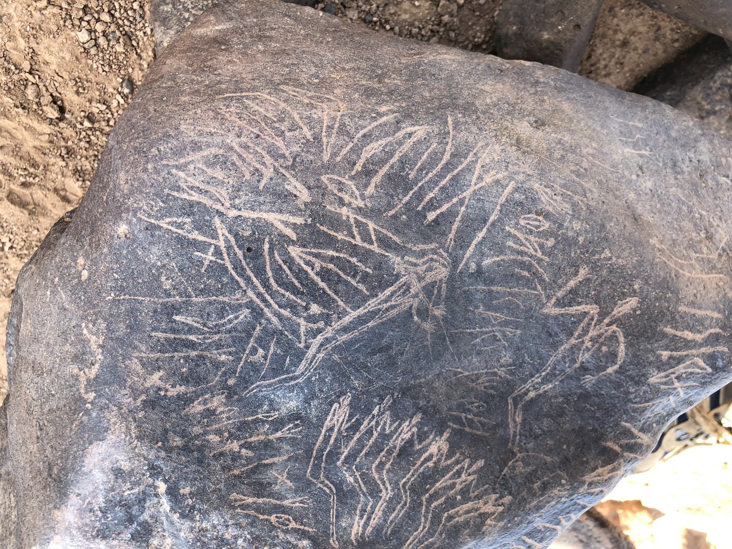 Image of BES19s 31
