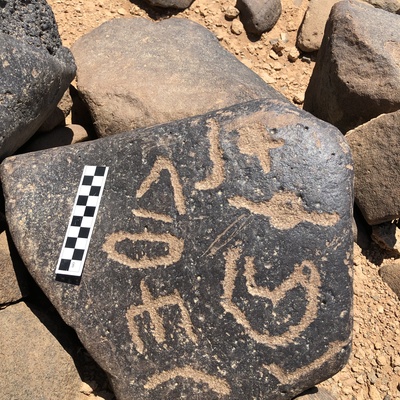Image of BES19s 32