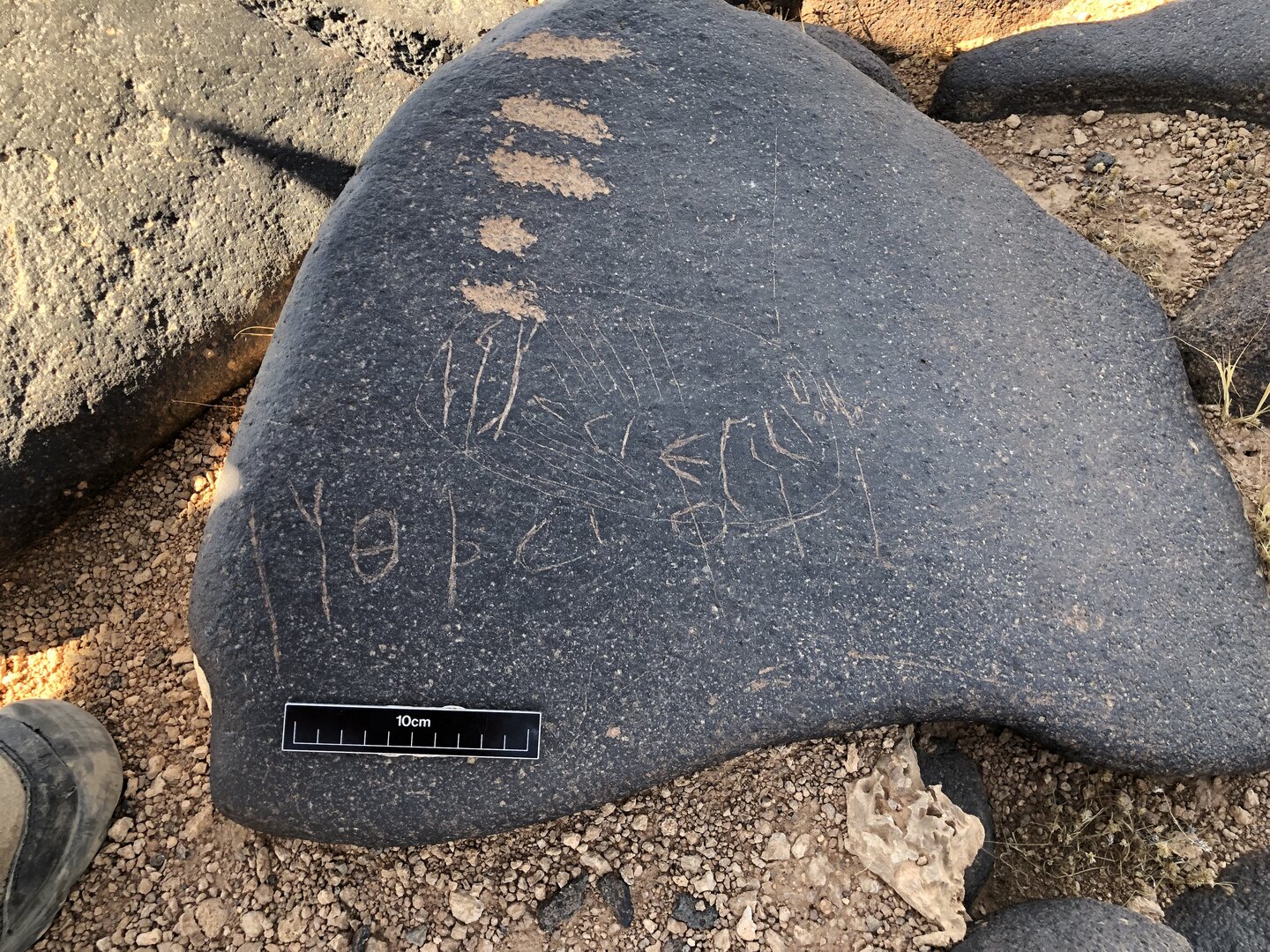 Image of BES19s 37.1