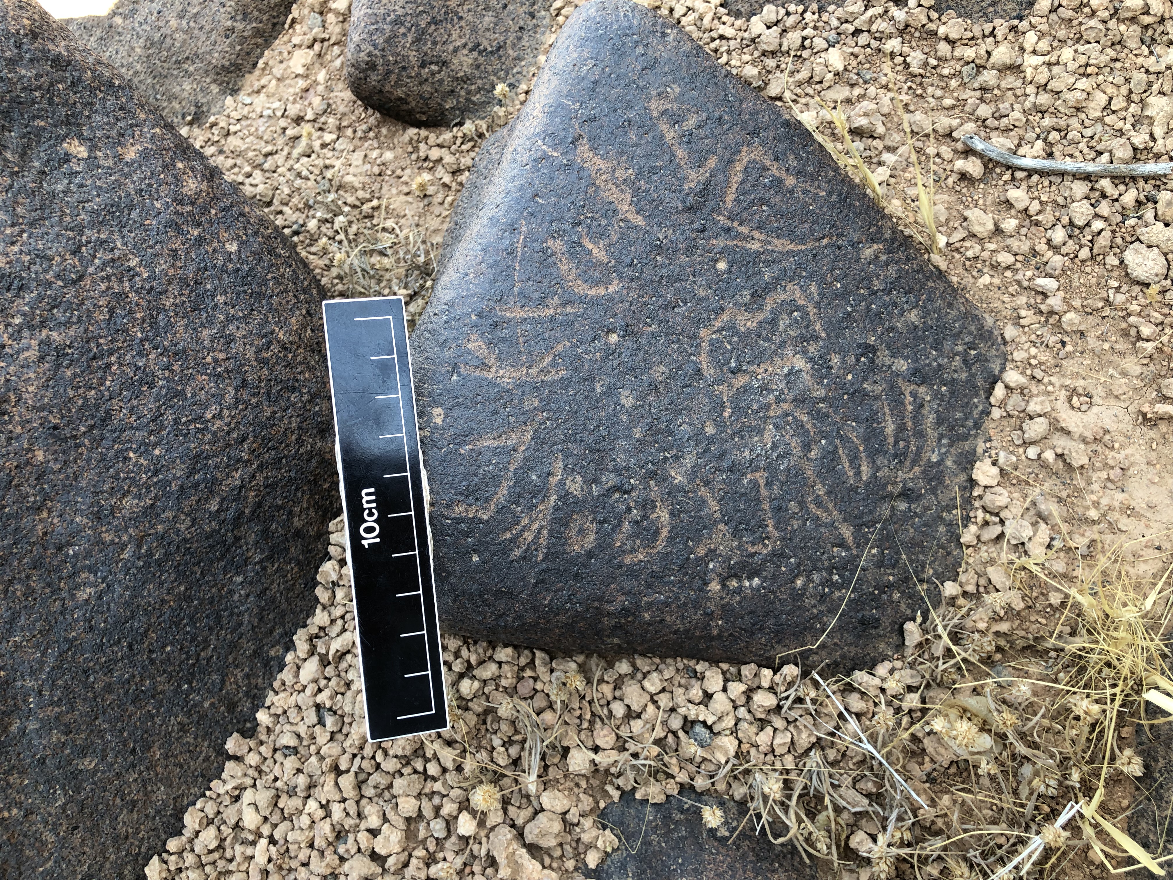 Image of BES19s 51