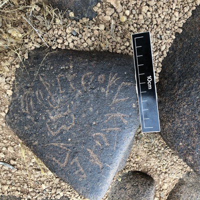 Image of BES19s 51