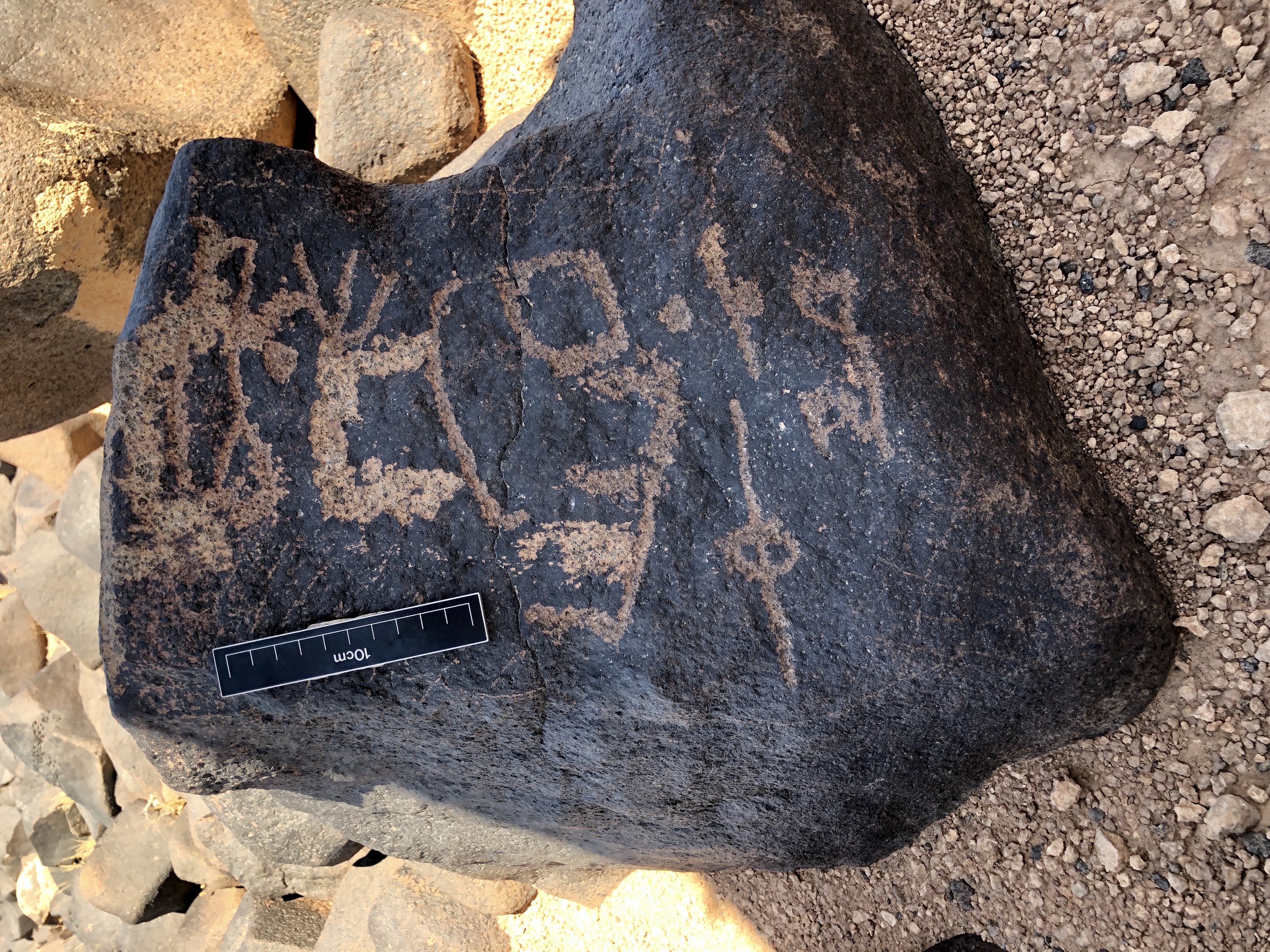 Image of BES19s 56