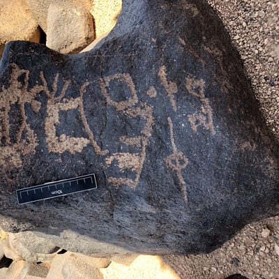 Image of BES19s 56