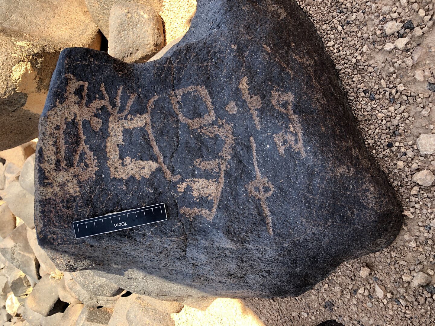 Image of BES19s 56