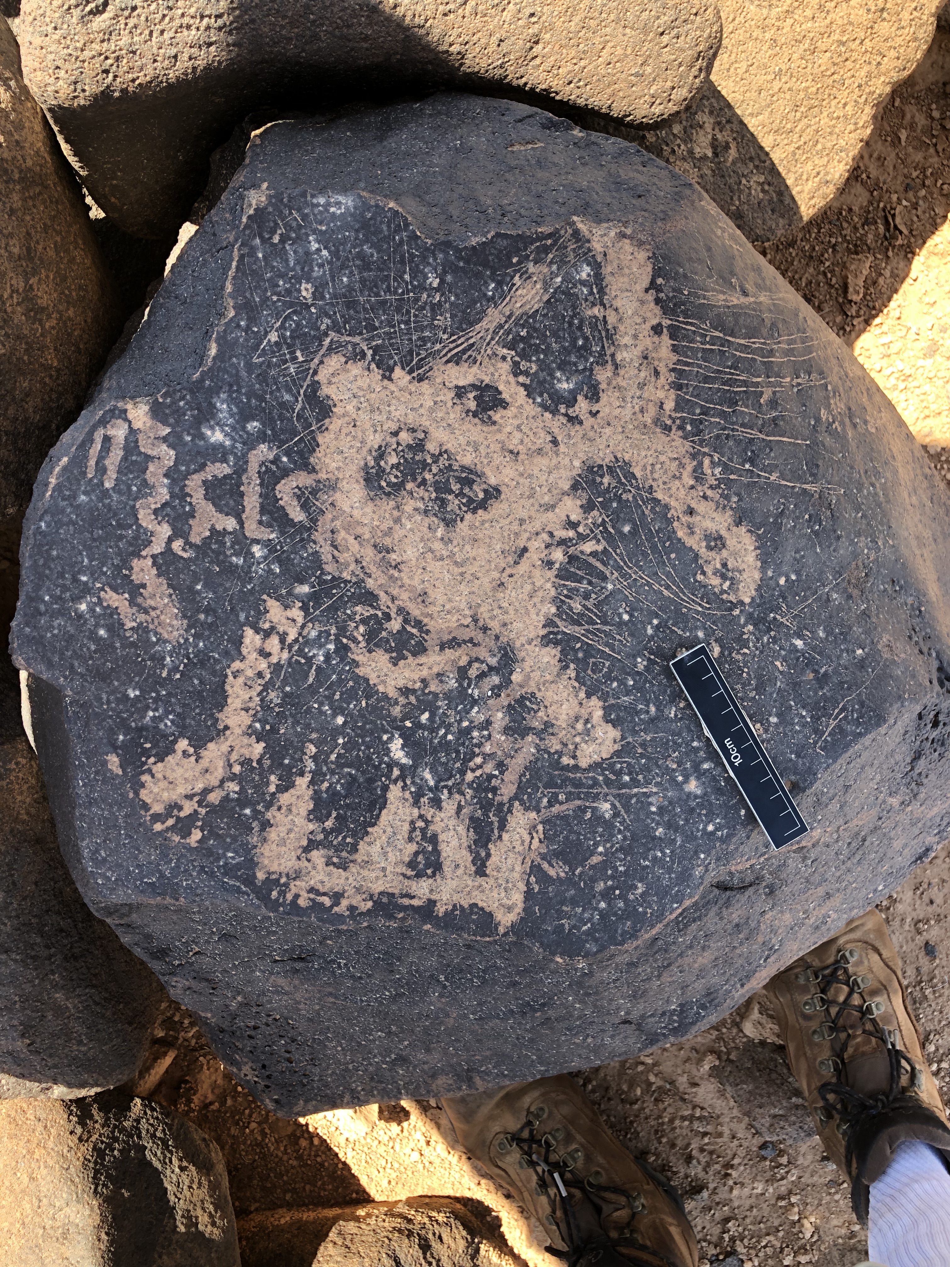 Image of BES19s 57