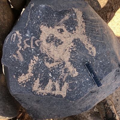 Image of BES19s 57