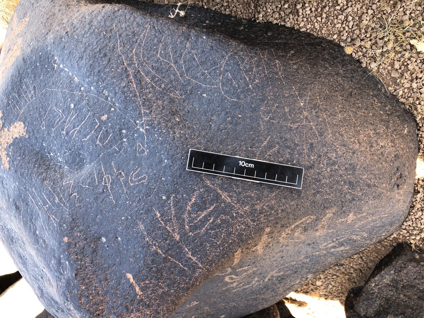 Photo of inscription BES19s 58.3