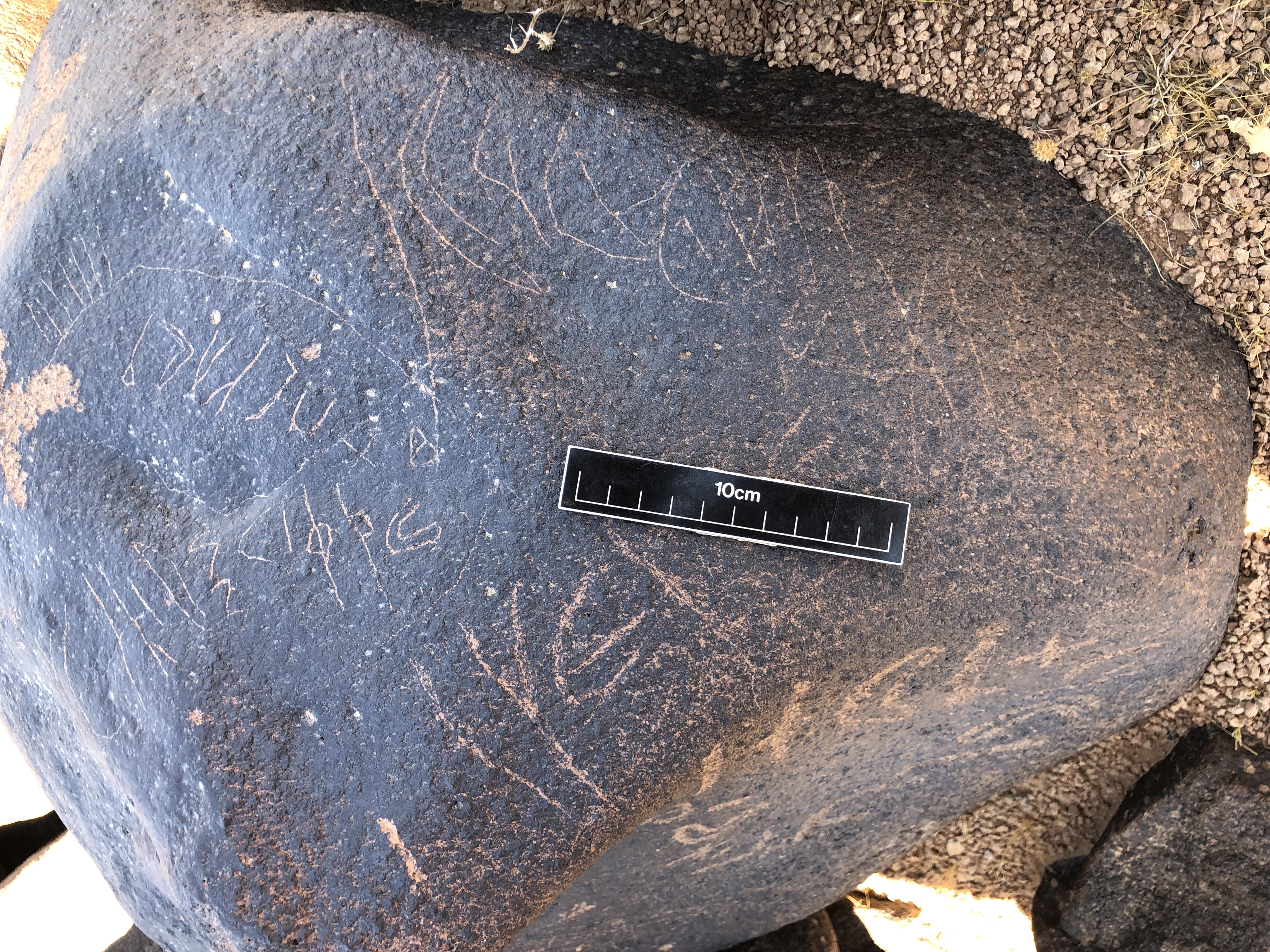 Photo of inscription BES19s 58.4