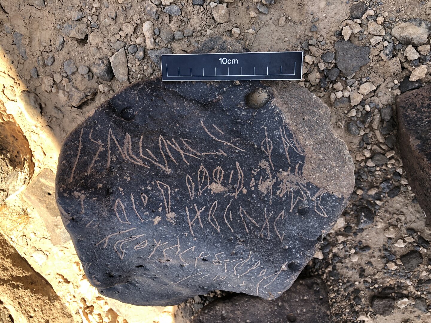 Image of BES19s 59