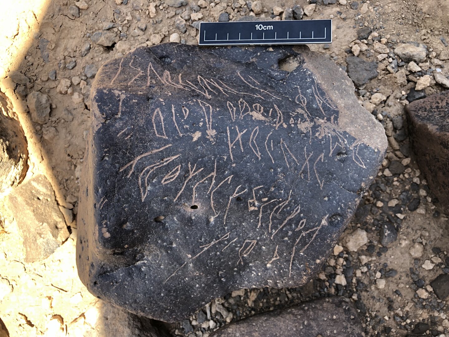 Image of BES19s 59