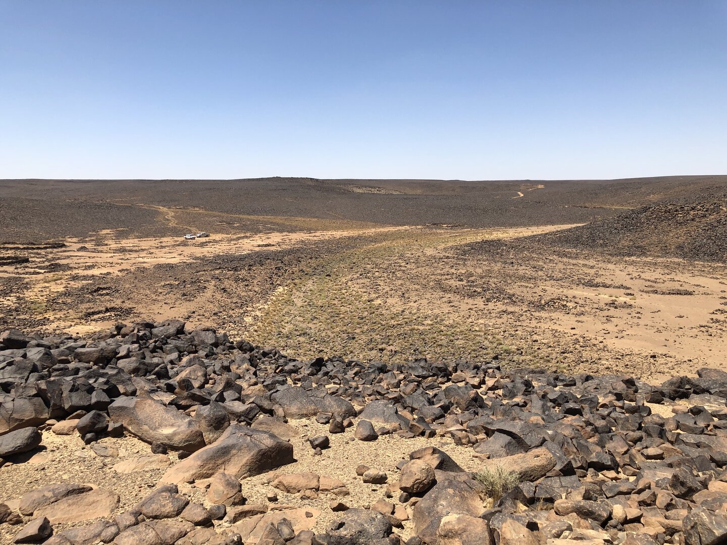 Image of Firʿ Wadi al-Khuḍarī