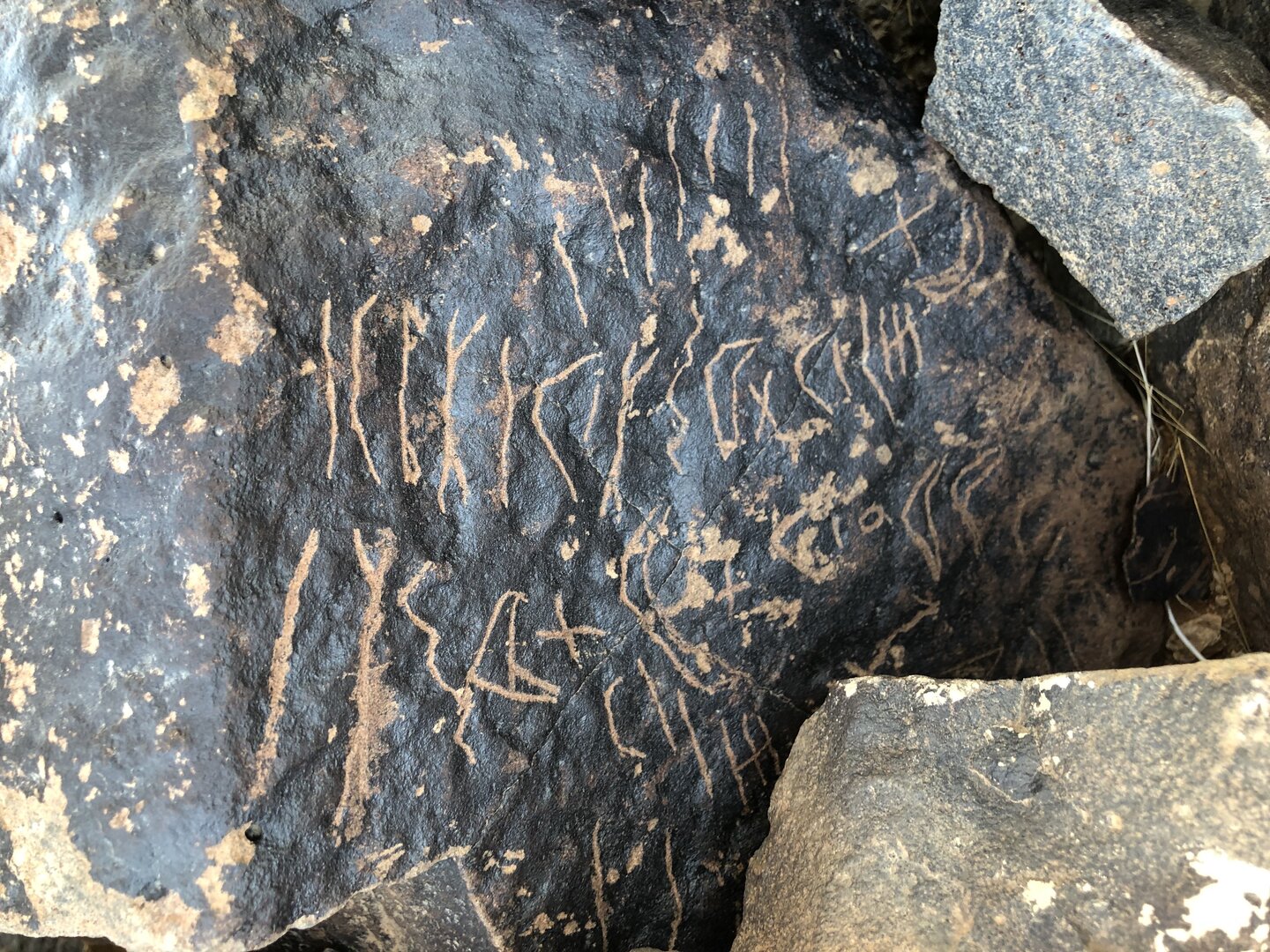 Image of BES19s 71.1