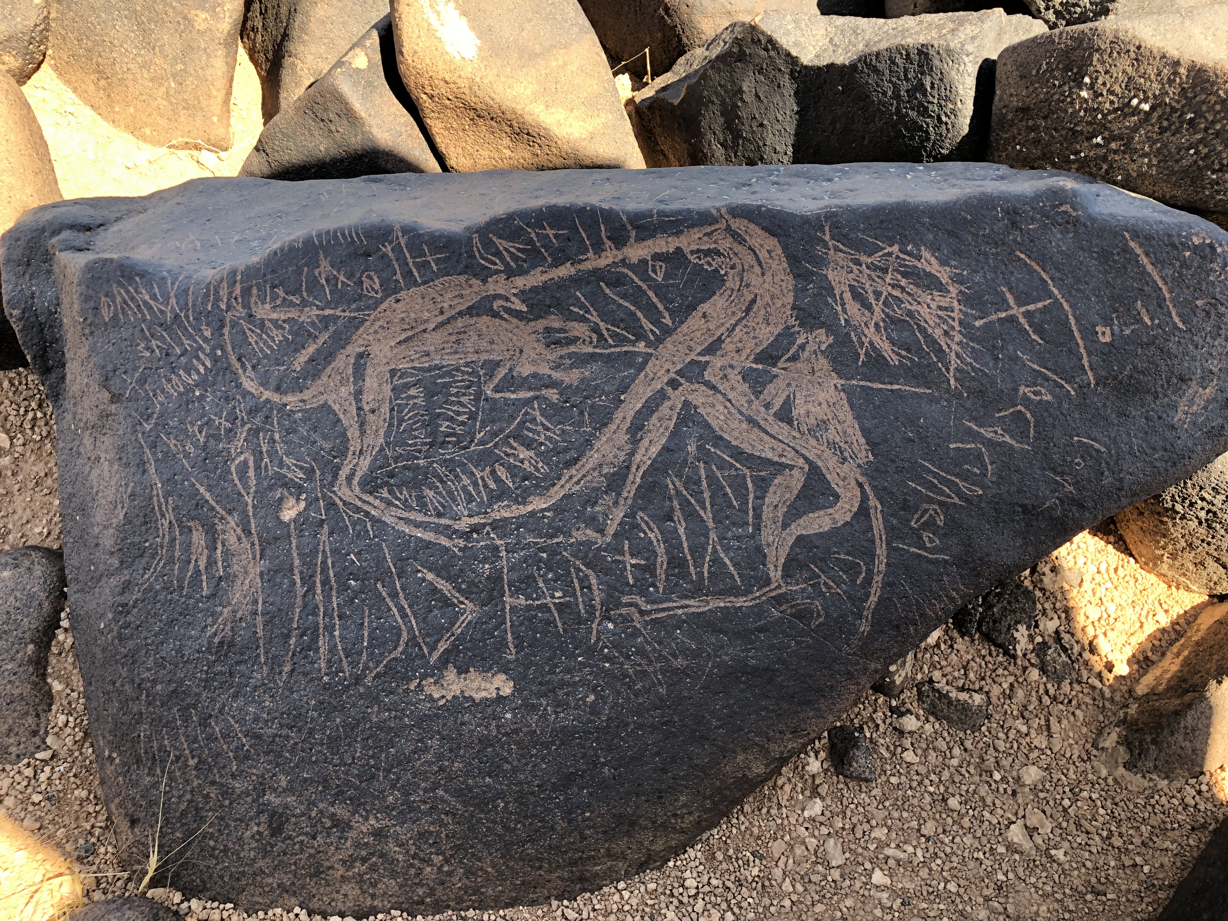 Image of BES19s 77.1