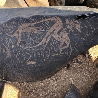 Image of BES19s 77.1