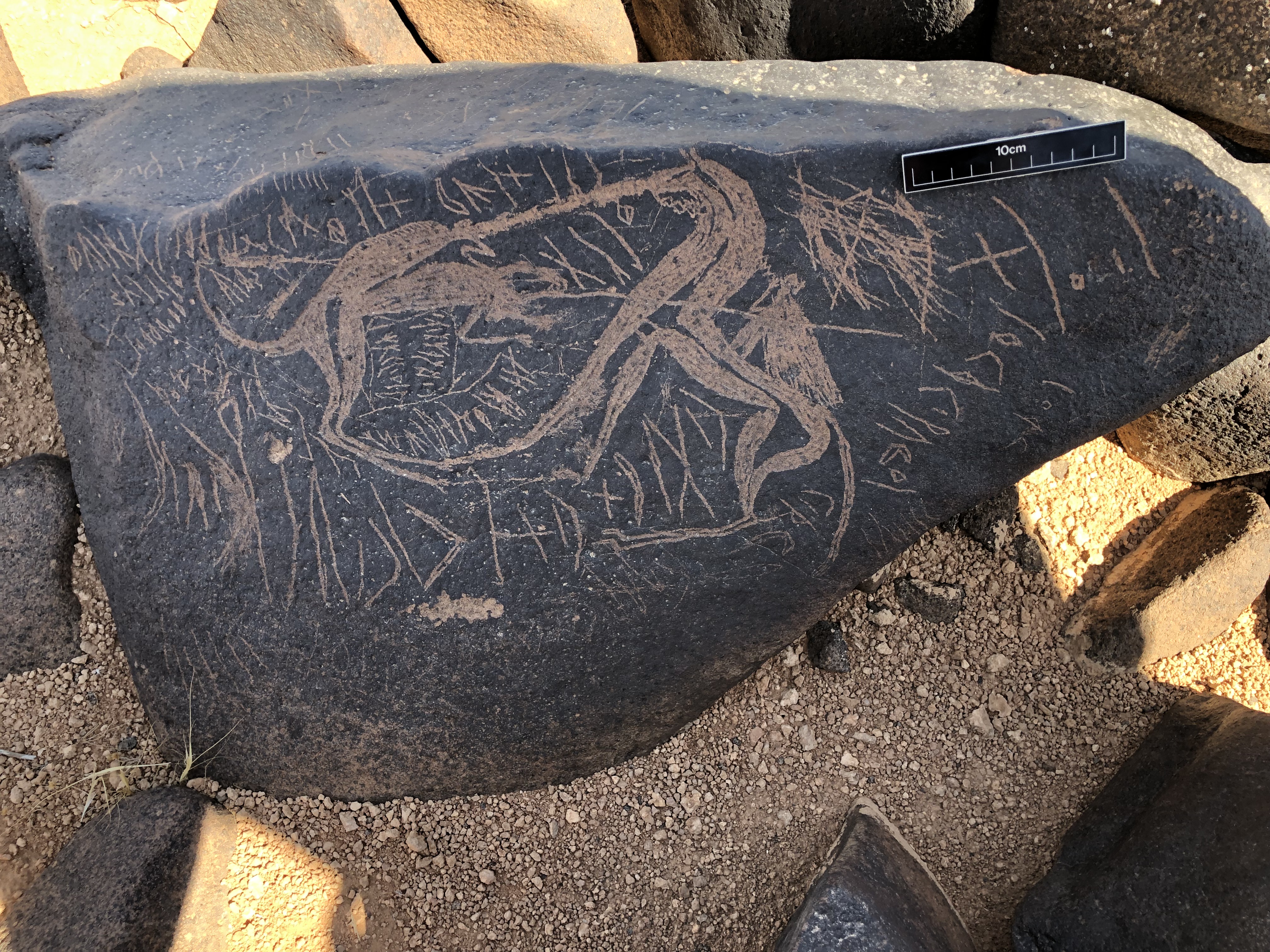 Image of BES19s 77.1