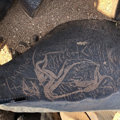 Image of BES19s 77.1