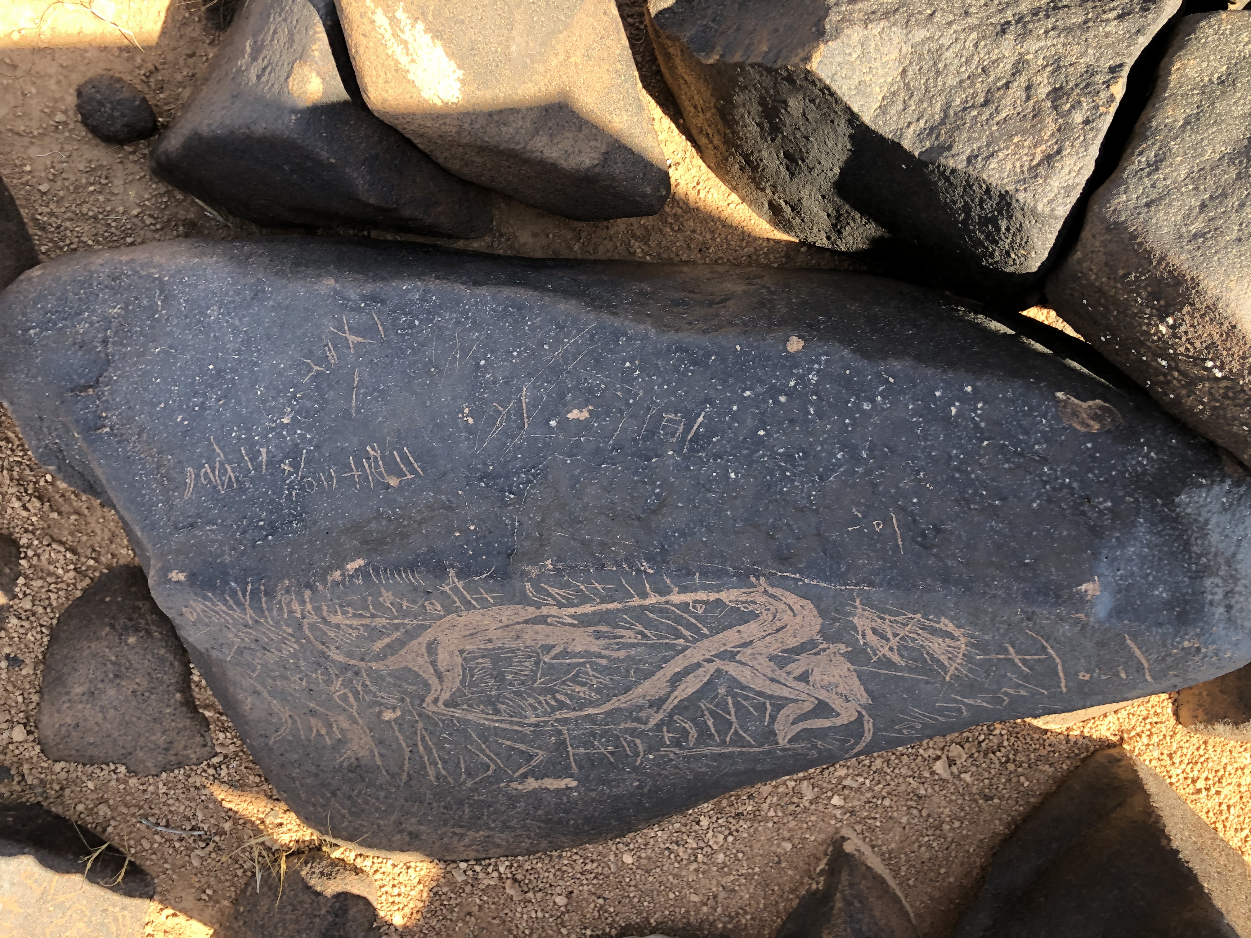 Image of BES19s 77.1