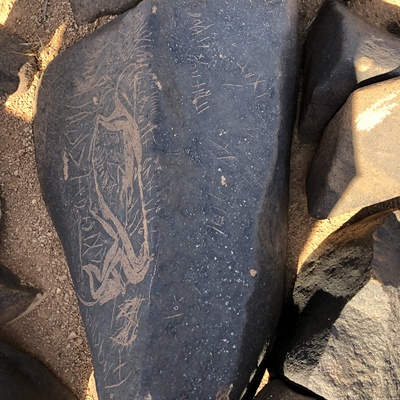 Image of BES19s 77.1