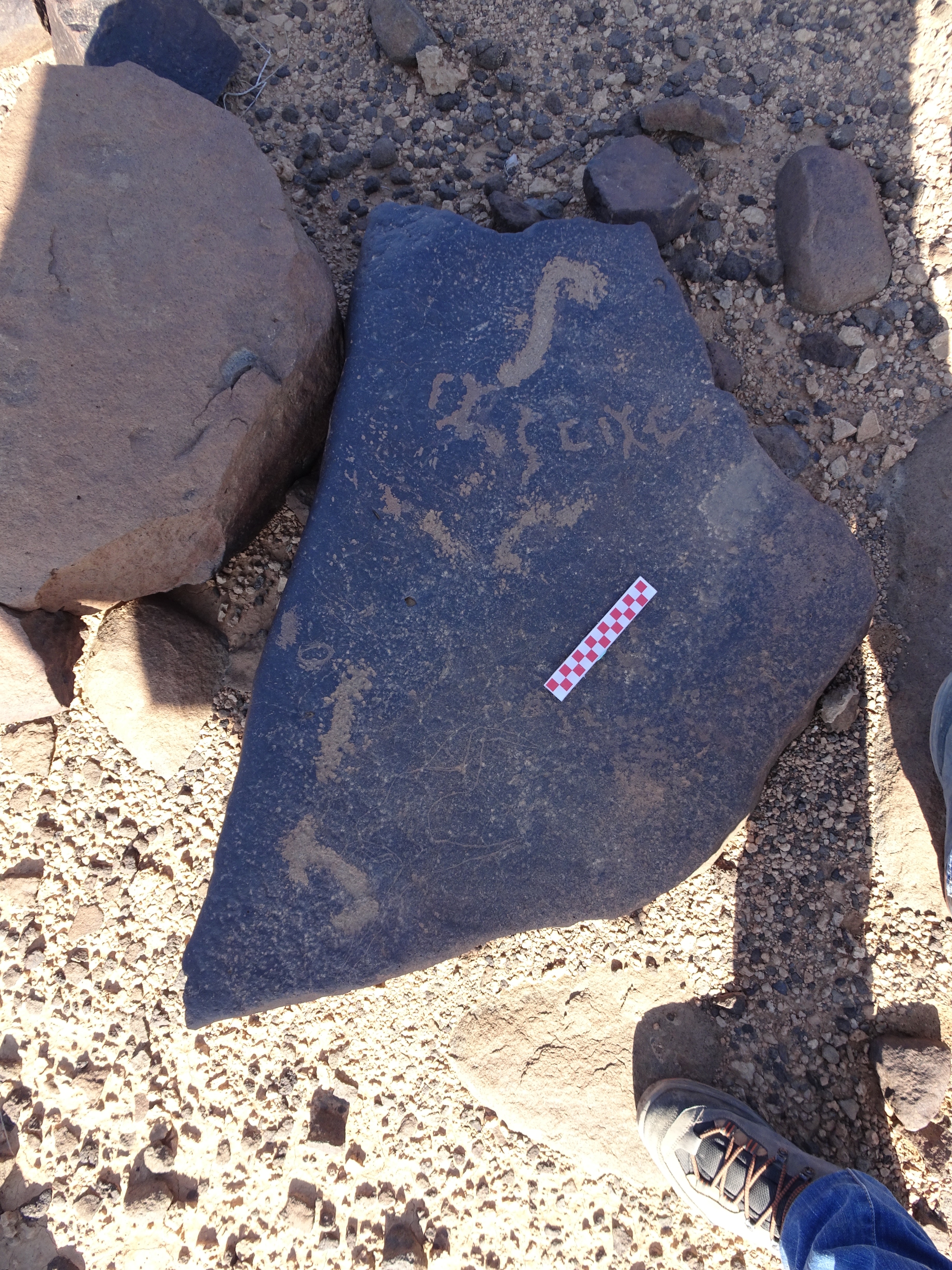 Image of siglum BES20 1002