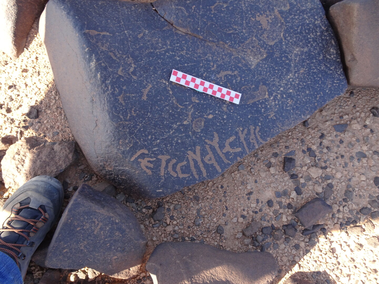 Image of siglum BES20 1005