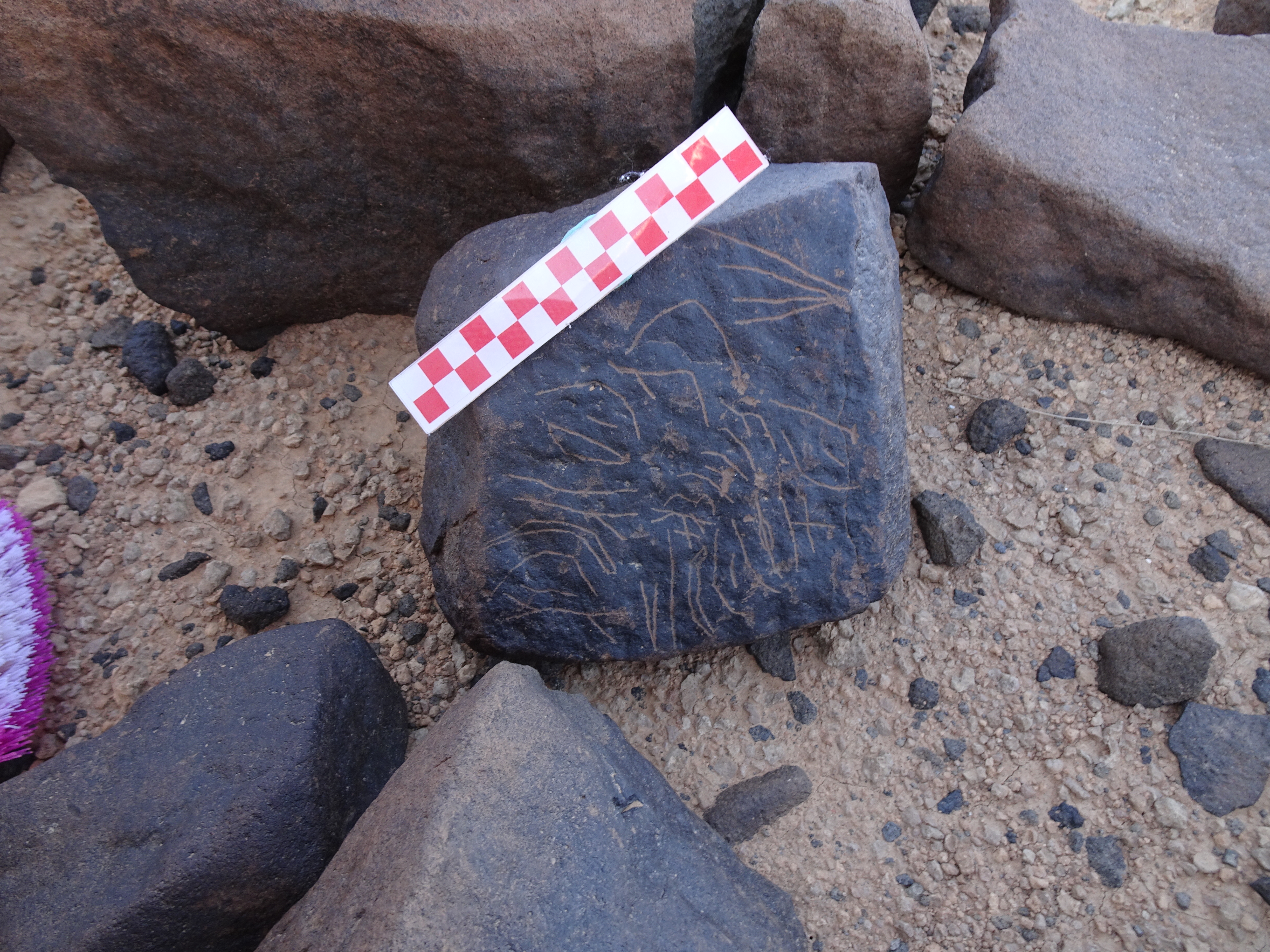 Image of siglum BES20 1007