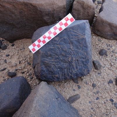 Image of siglum BES20 1007