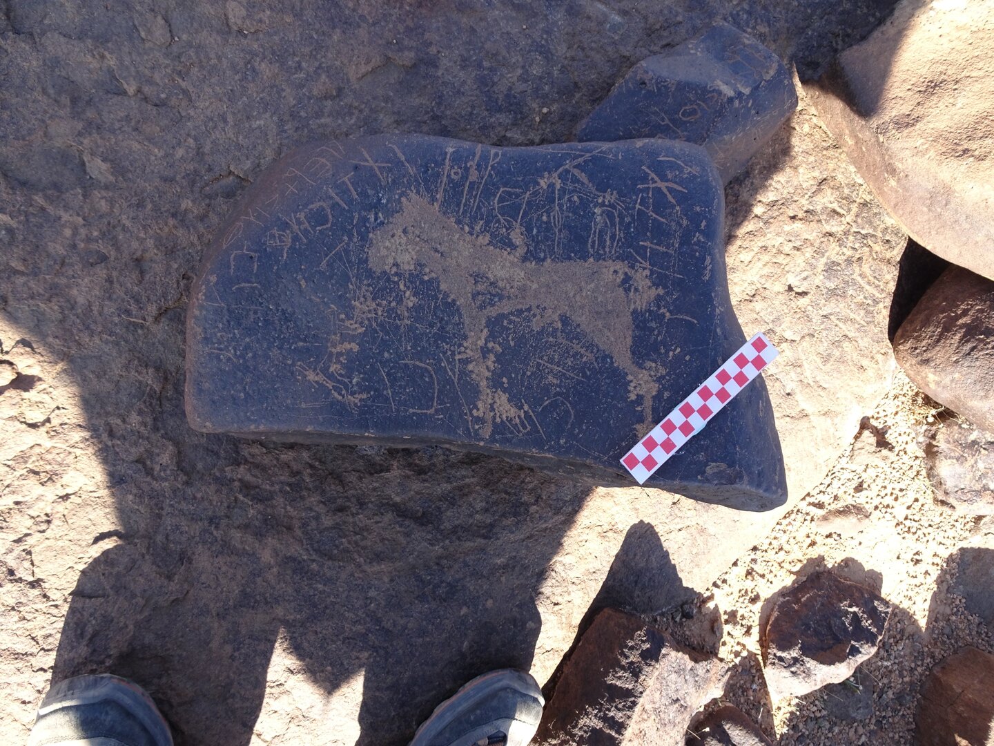 Image of siglum BES20 1010