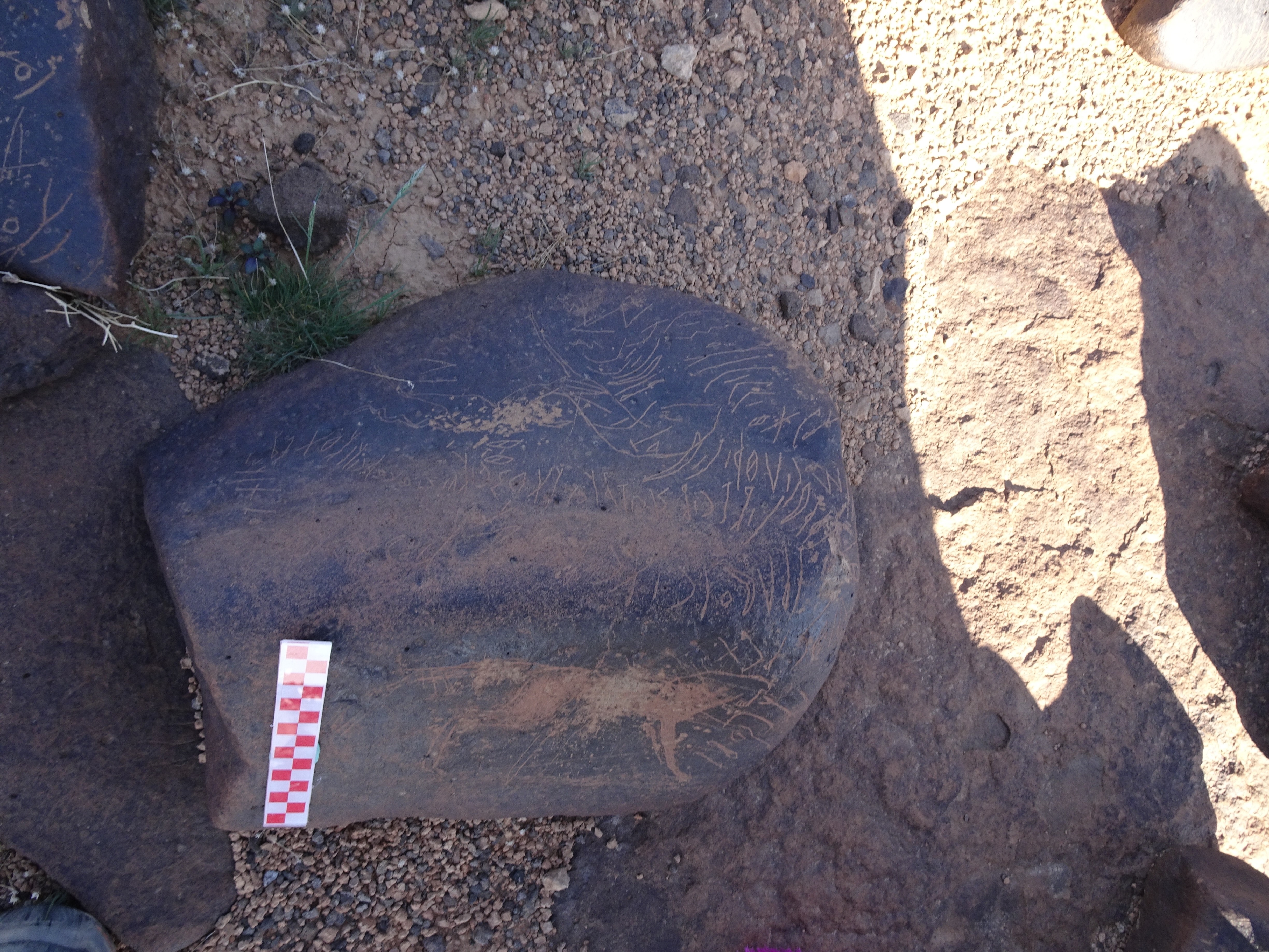 Image of siglum BES20 1012