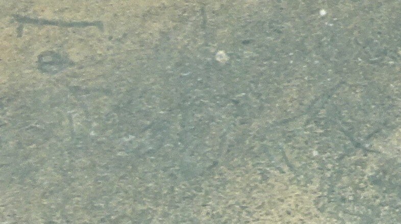 Enhanced image of siglum BES20 1013