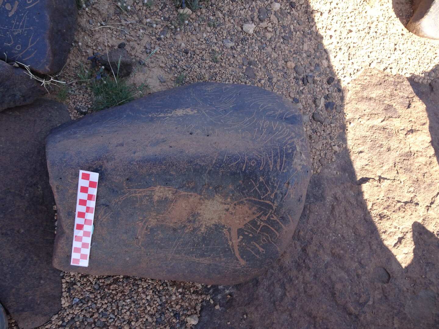 Image of siglum BES20 1013