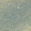 Enhanced image of siglum BES20 1013