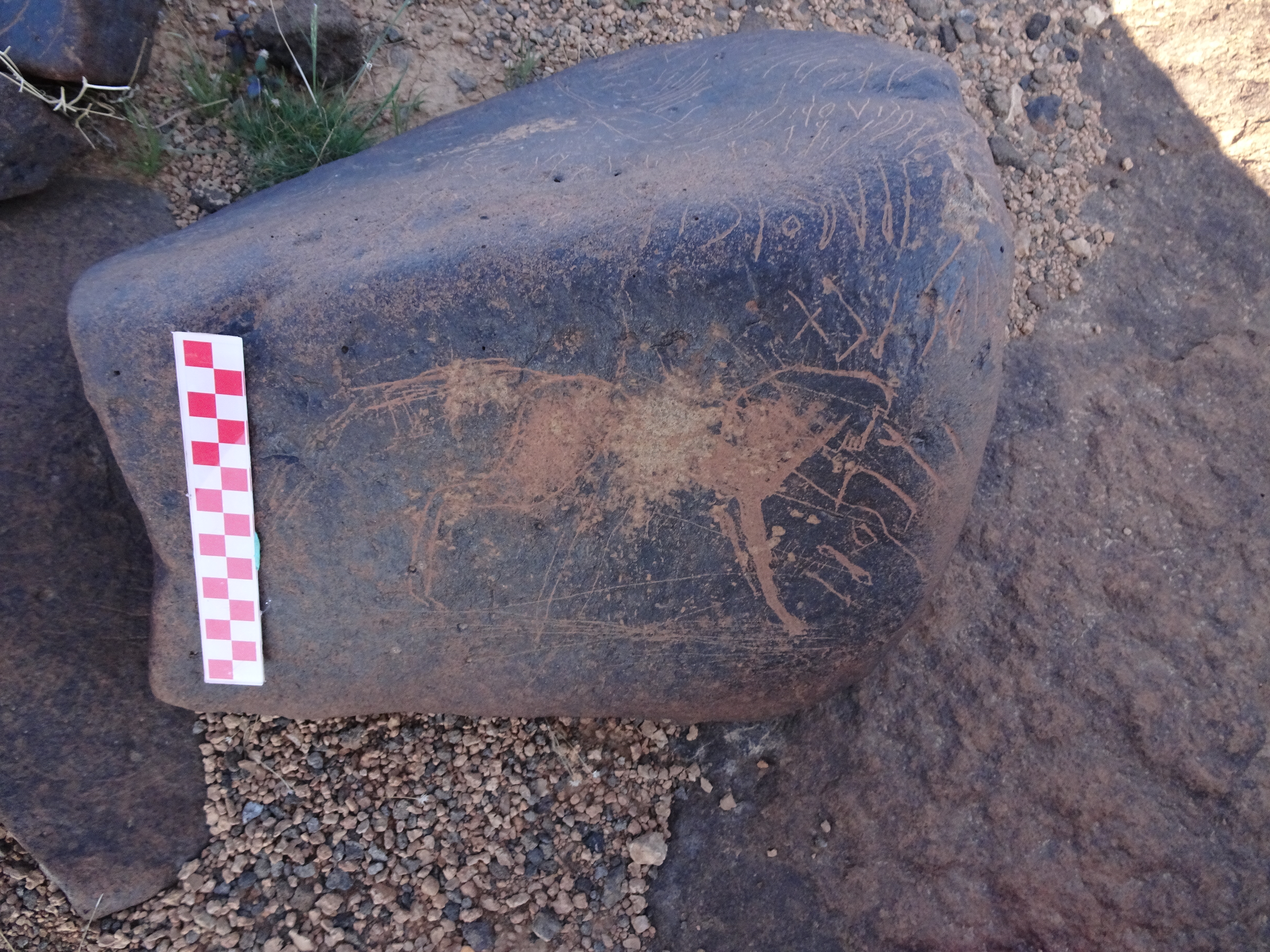 Image of siglum BES20 1014